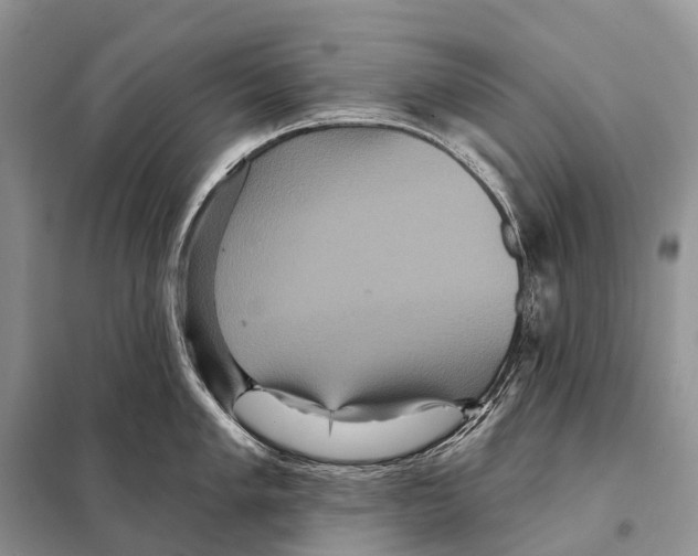 X0000097911005200804111107