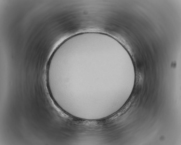 X0000097911006200804111107