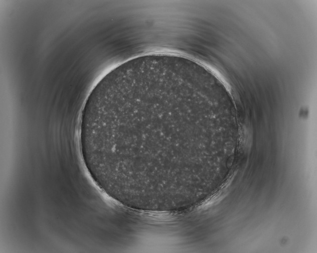 X0000097911007200804111107