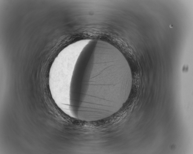 X0000097911009200804111107