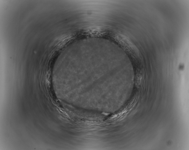 X0000097911010200804111107