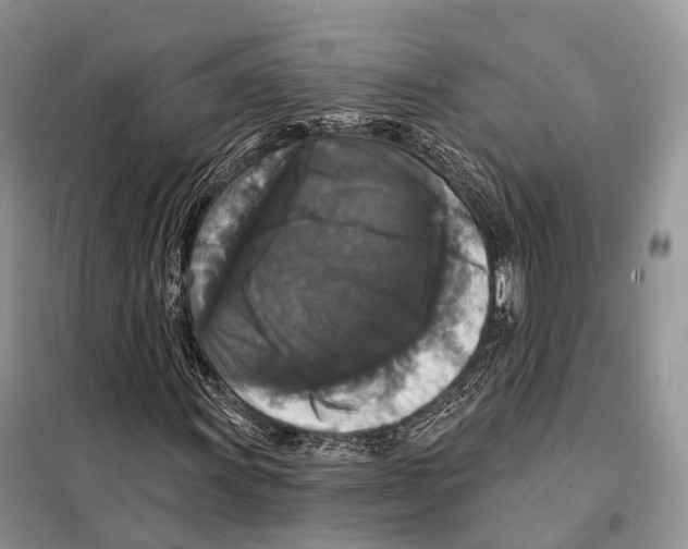 X0000097911011200804111107