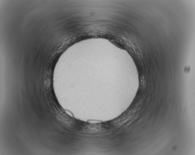 X0000097911012200804111107