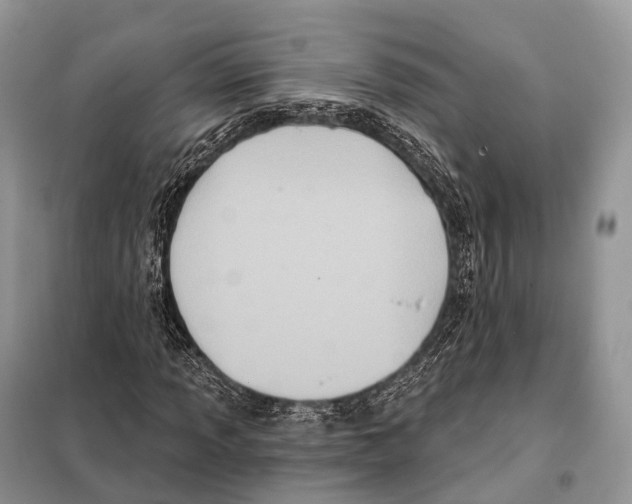 X0000097911013200804111107