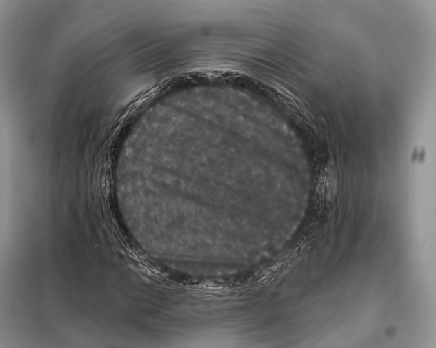 X0000097911014200804111107