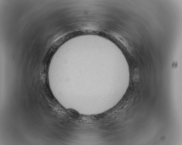 X0000097911015200804111107