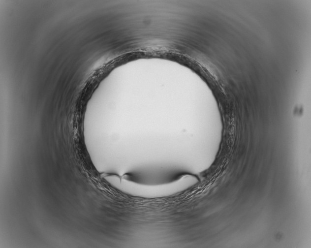 X0000097911016200804111107