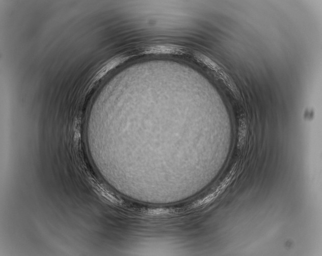 X0000097911017200804111107