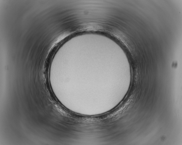 X0000097911018200804111107