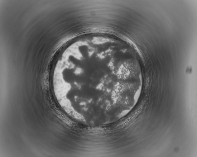 X0000097911019200804111107