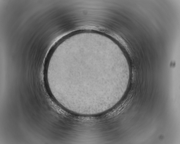 X0000097911020200804111107