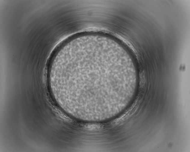 X0000097911021200804111107