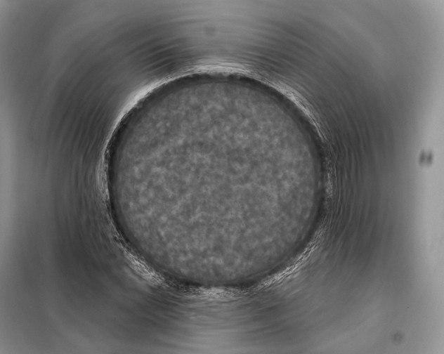 X0000097911022200804111107