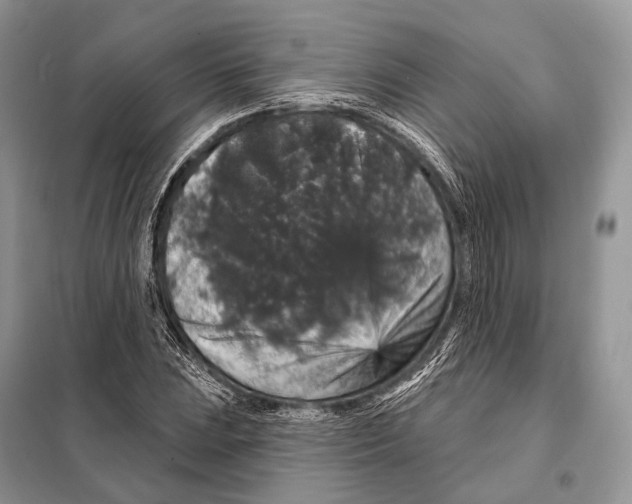 X0000097911023200804111107