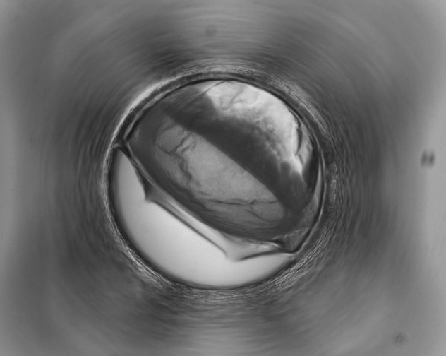 X0000097911024200804111107