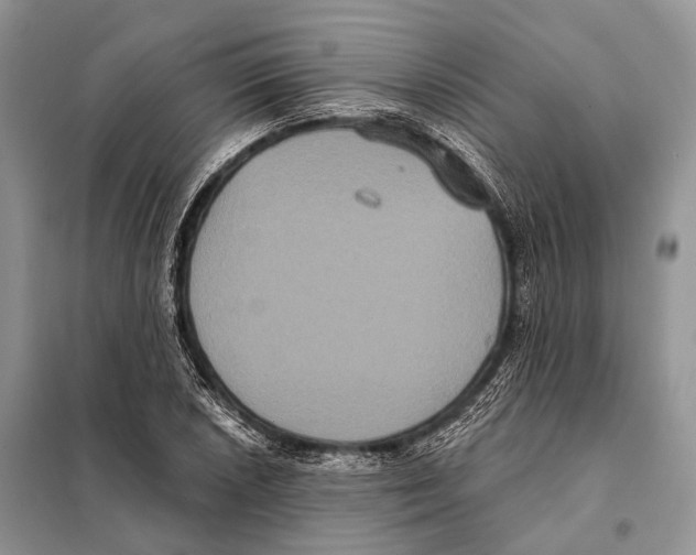 X0000097911026200804111107