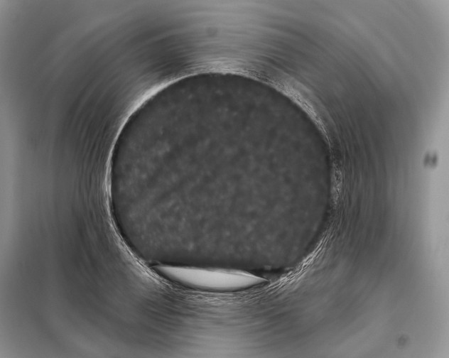 X0000097911028200804111107