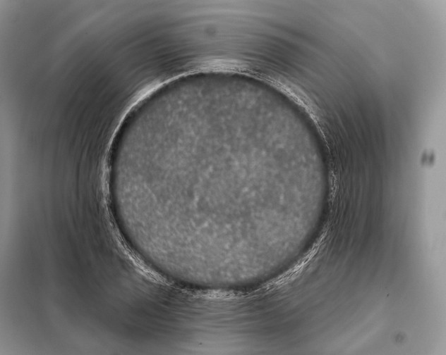 X0000097911029200804111107