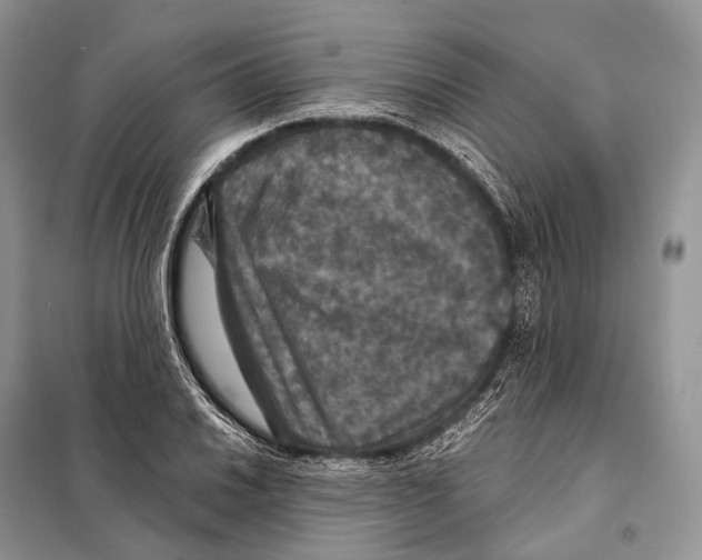 X0000097911030200804111107