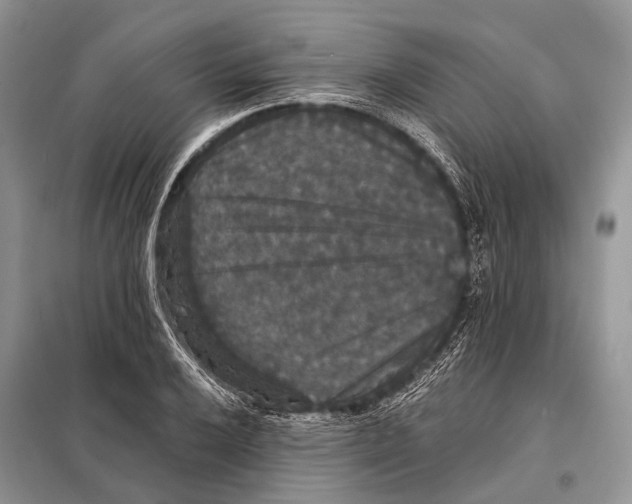 X0000097911032200804111107