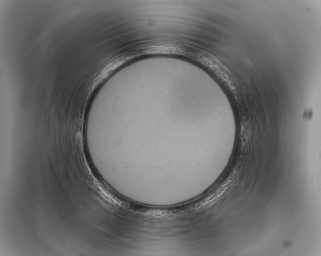 X0000097911033200804111107