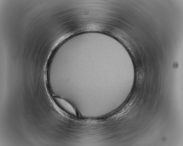 X0000097911034200804111107