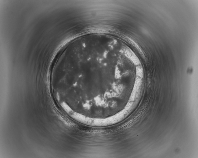 X0000097911035200804111107