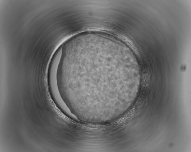 X0000097911036200804111107