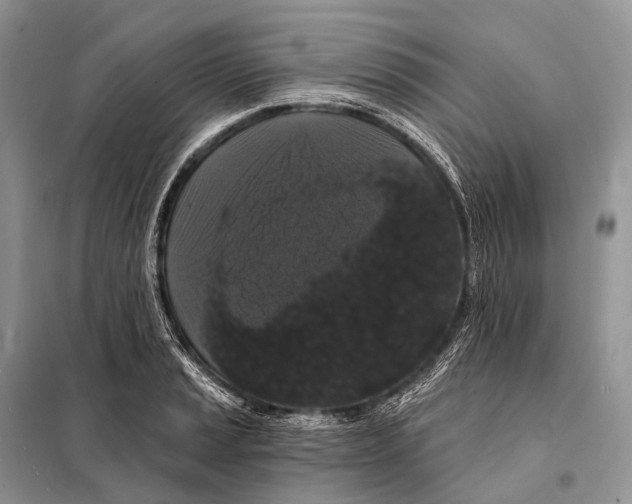 X0000097911037200804111107