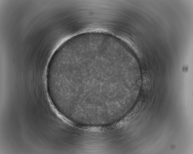 X0000097911038200804111107