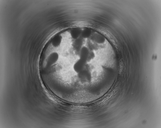 X0000097911039200804111107