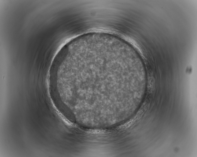 X0000097911040200804111107