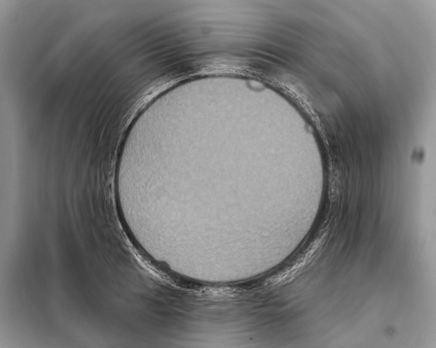 X0000097911041200804111107