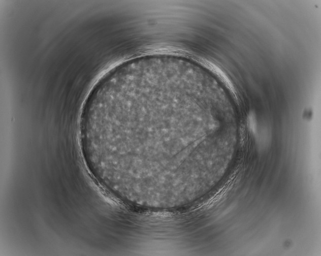 X0000097911043200804111107