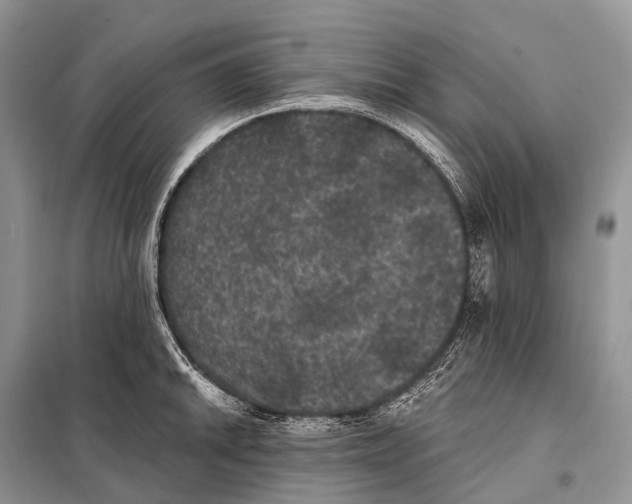 X0000097911046200804111107