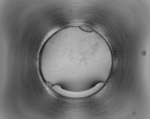 X0000097911050200804111107