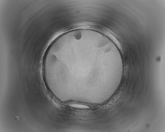 X0000097911051200804111107