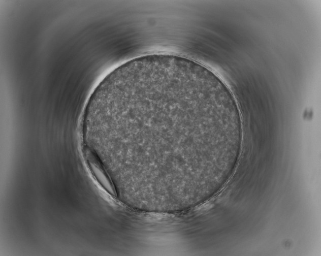 X0000097911056200804111107