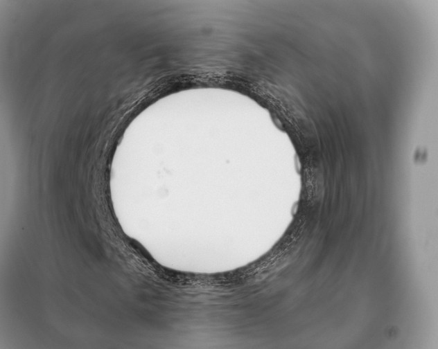 X0000097911057200804111107