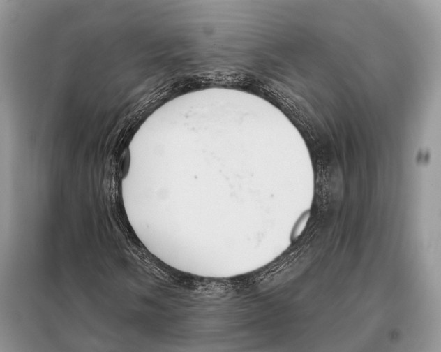 X0000097911058200804111107