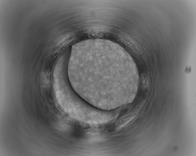 X0000097911060200804111107