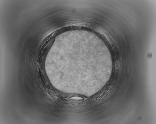 X0000097911064200804111106