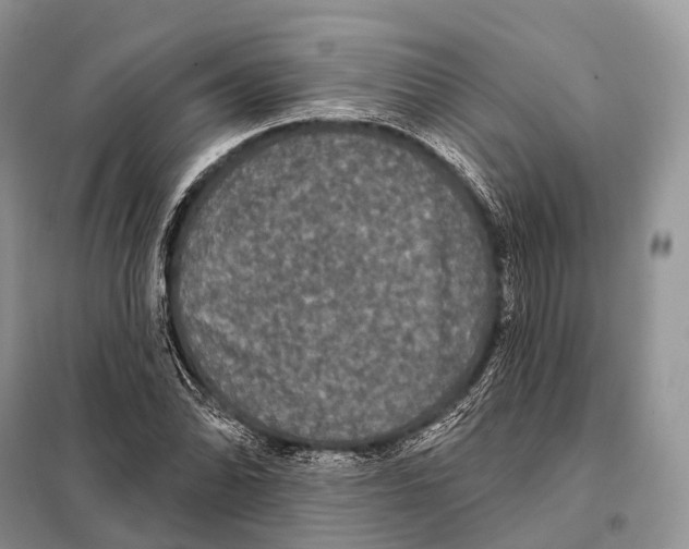 X0000097911070200804111106