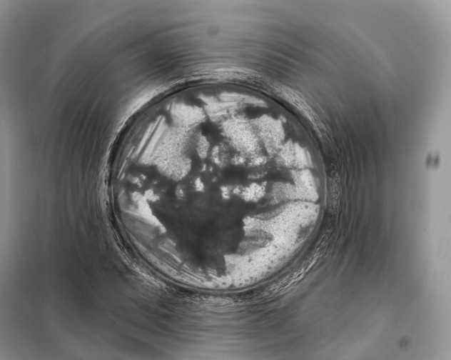 X0000097911071200804111106