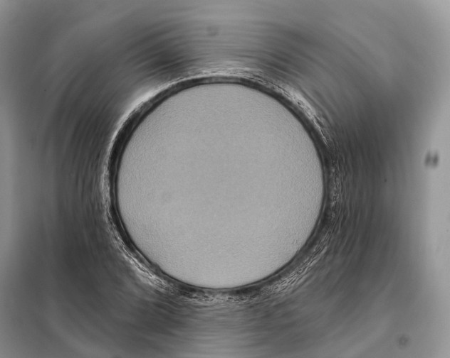 X0000097911072200804111106