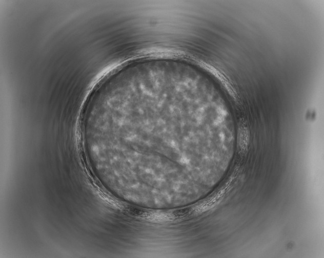 X0000097911074200804111106