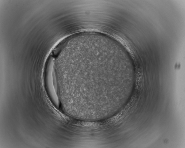 X0000097911076200804111106