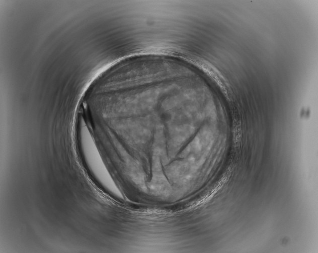 X0000097911077200804111106