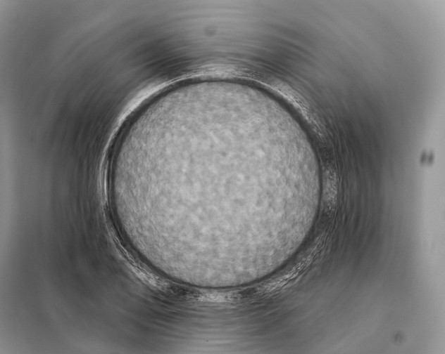 X0000097911078200804111106