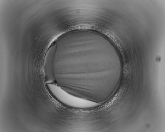 X0000097911081200804111106